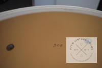 Force 2000 - FT213 Tom Tom 13x11 High glossYellow