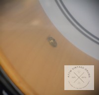 Force Maple 14x6,5 Snare Tulip Blue (TB) + org. Gußspannreifen / S-HOOP + Puresound